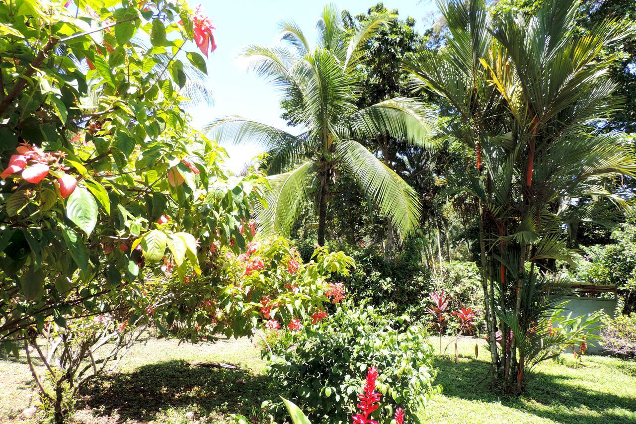 Rosa Lodge Cahuita Extérieur photo