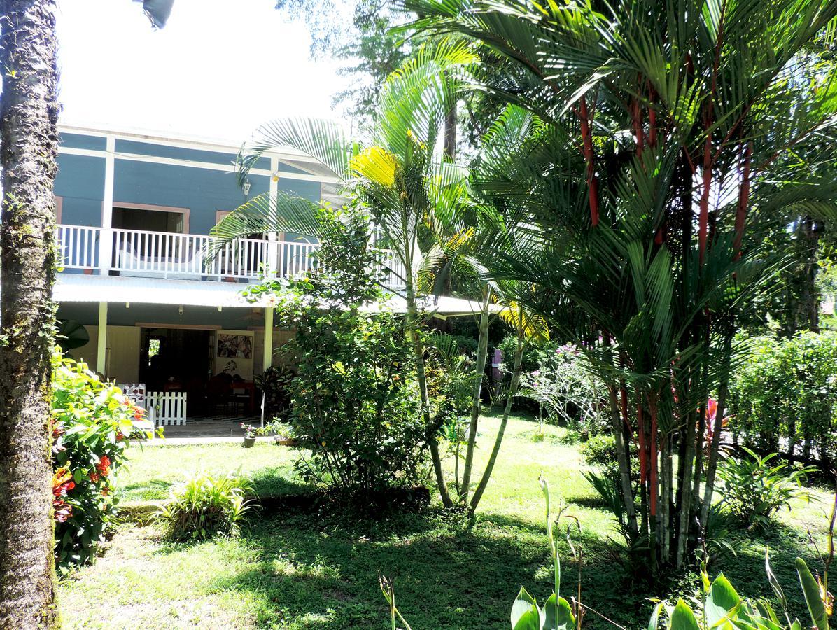 Rosa Lodge Cahuita Extérieur photo