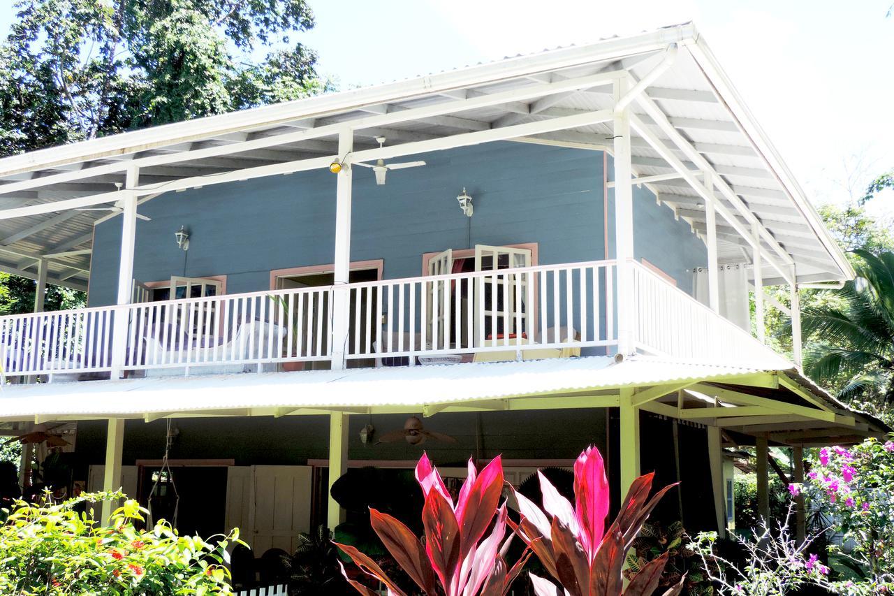 Rosa Lodge Cahuita Extérieur photo